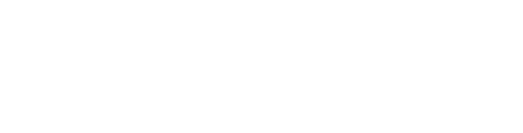 Evolve Consultoría Académica